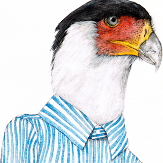 Pencil and watercolor drawing of a caracara bird posed as a person